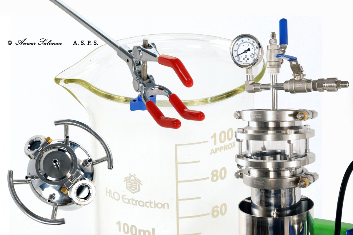 1F0A2089 Cut out 4 up.jpg