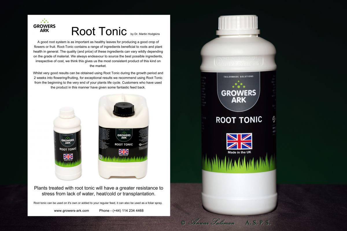 1F0A7782 Web Sample.jpg